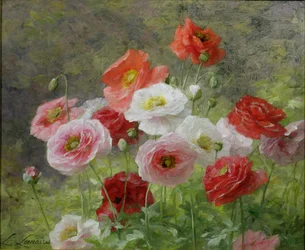 Grappe de coquelicots, 1884